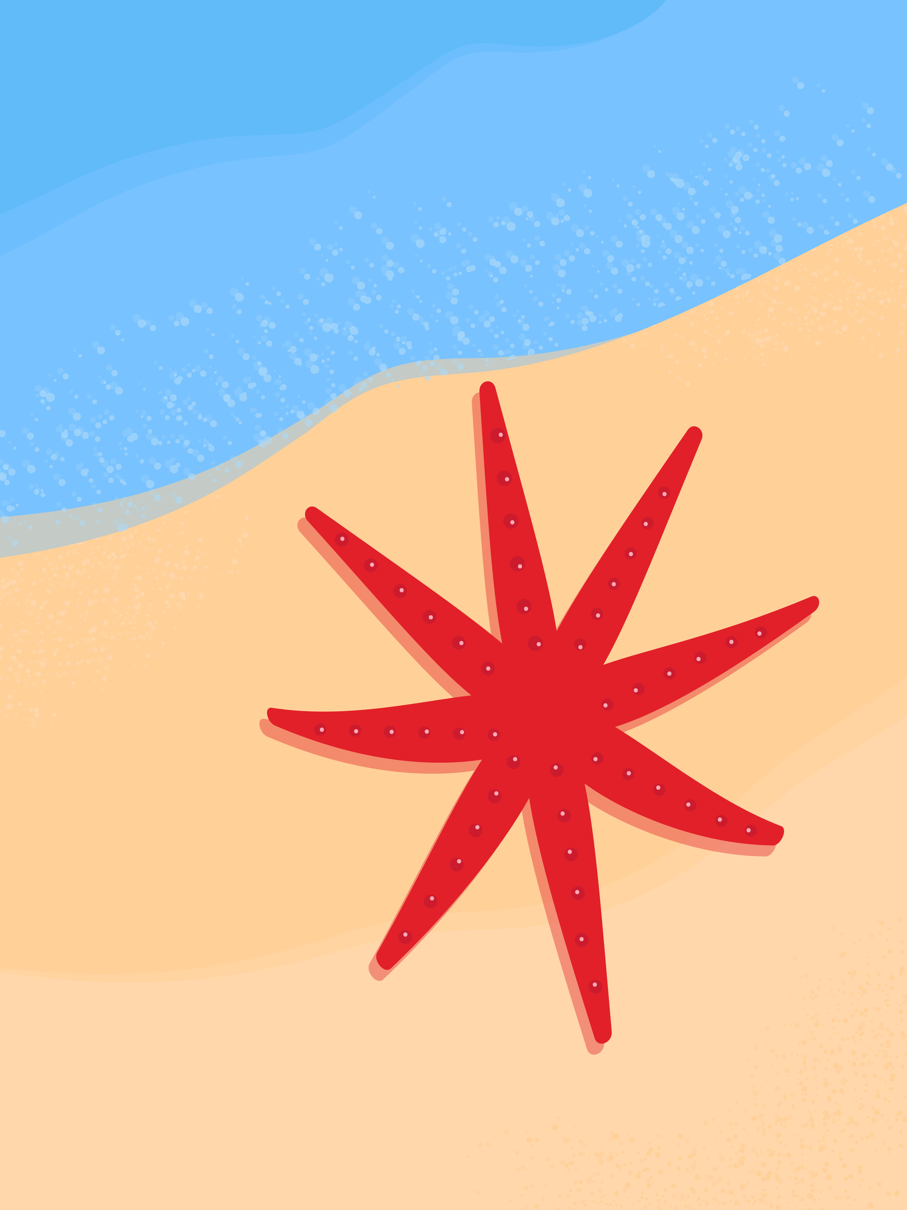 Red starfish on sandy beach - Free Vector Illustration on Unsplash