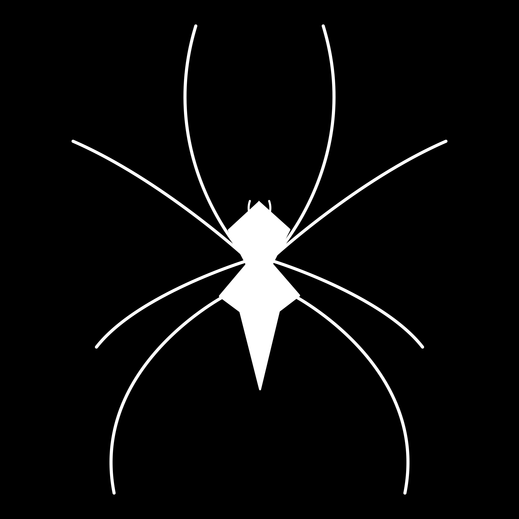 White spider silhouette on black - Free Vector Illustration on Unsplash