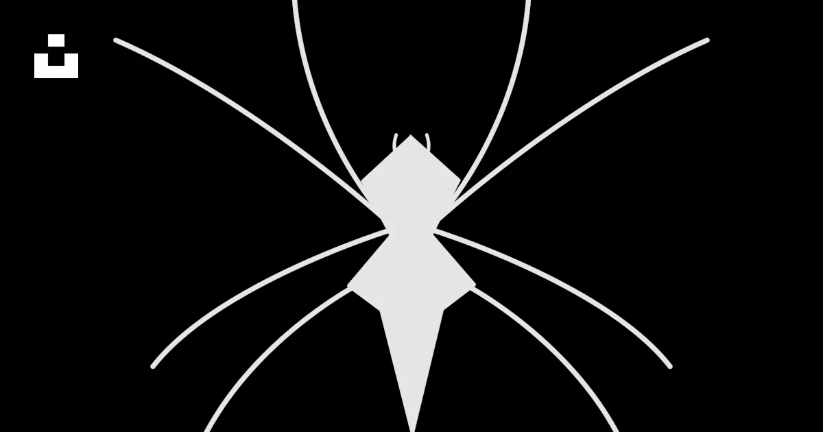 F Solid Vector White spider silhouette on black - Free Vector Illustration on Unsplash