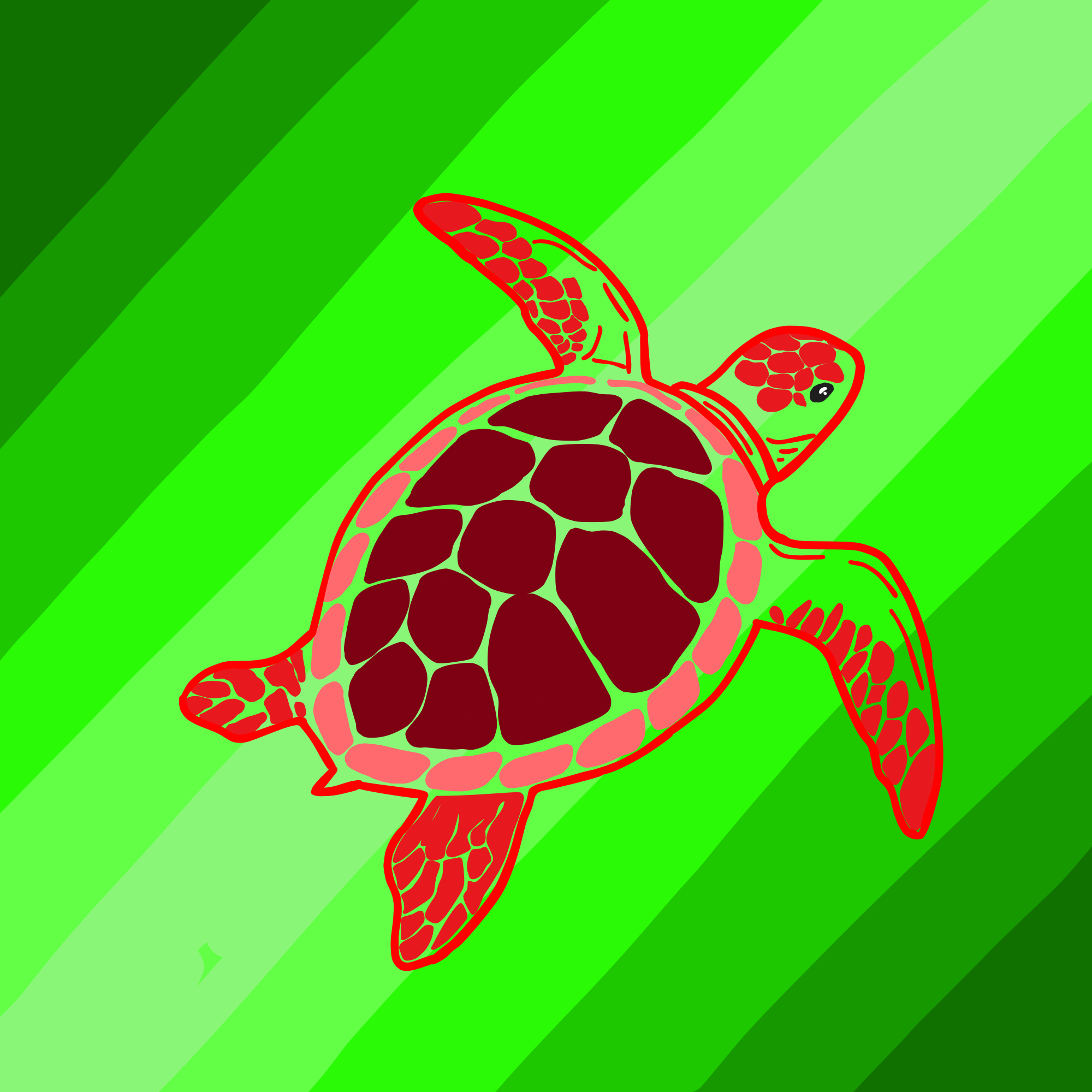 Red sea turtle on green background - Free Vector Illustration on Unsplash
