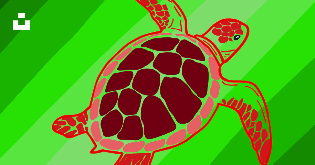 Normal Green Turtle Red sea turtle on green background - Free Vector Illustration on Unsplash