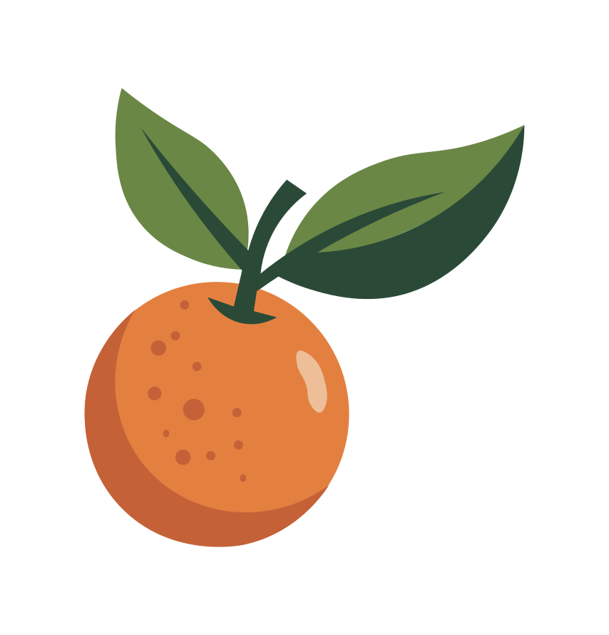 Orange fruit with green leaves - Free Vector Illustration on Unsplash