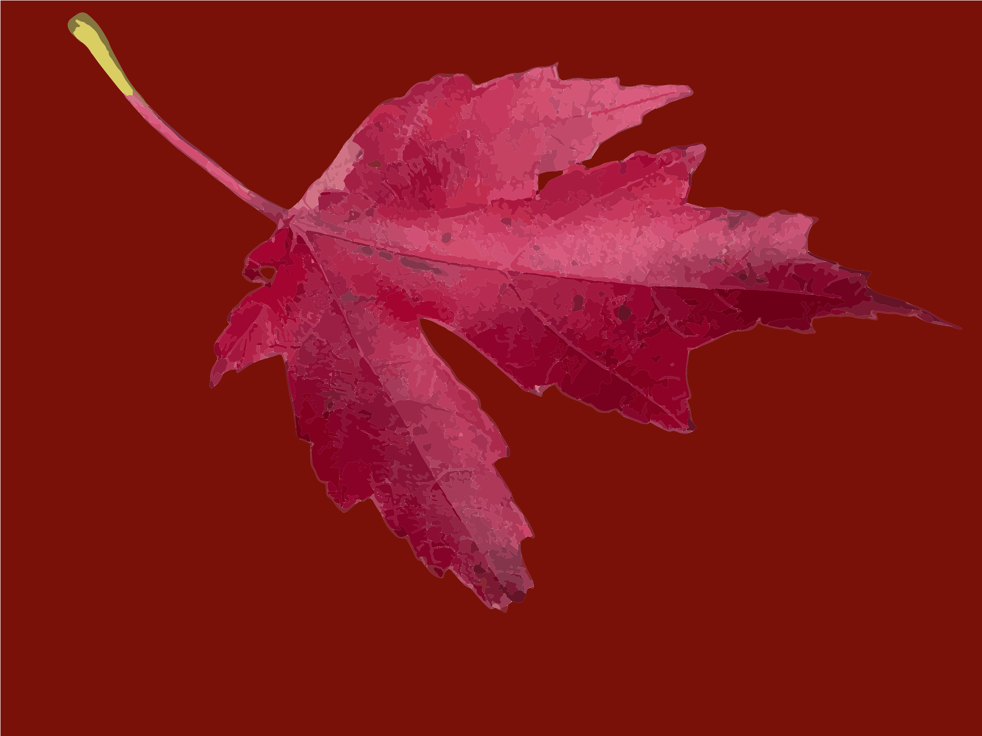Red maple leaf on dark background - Free Vector Illustration on Unsplash