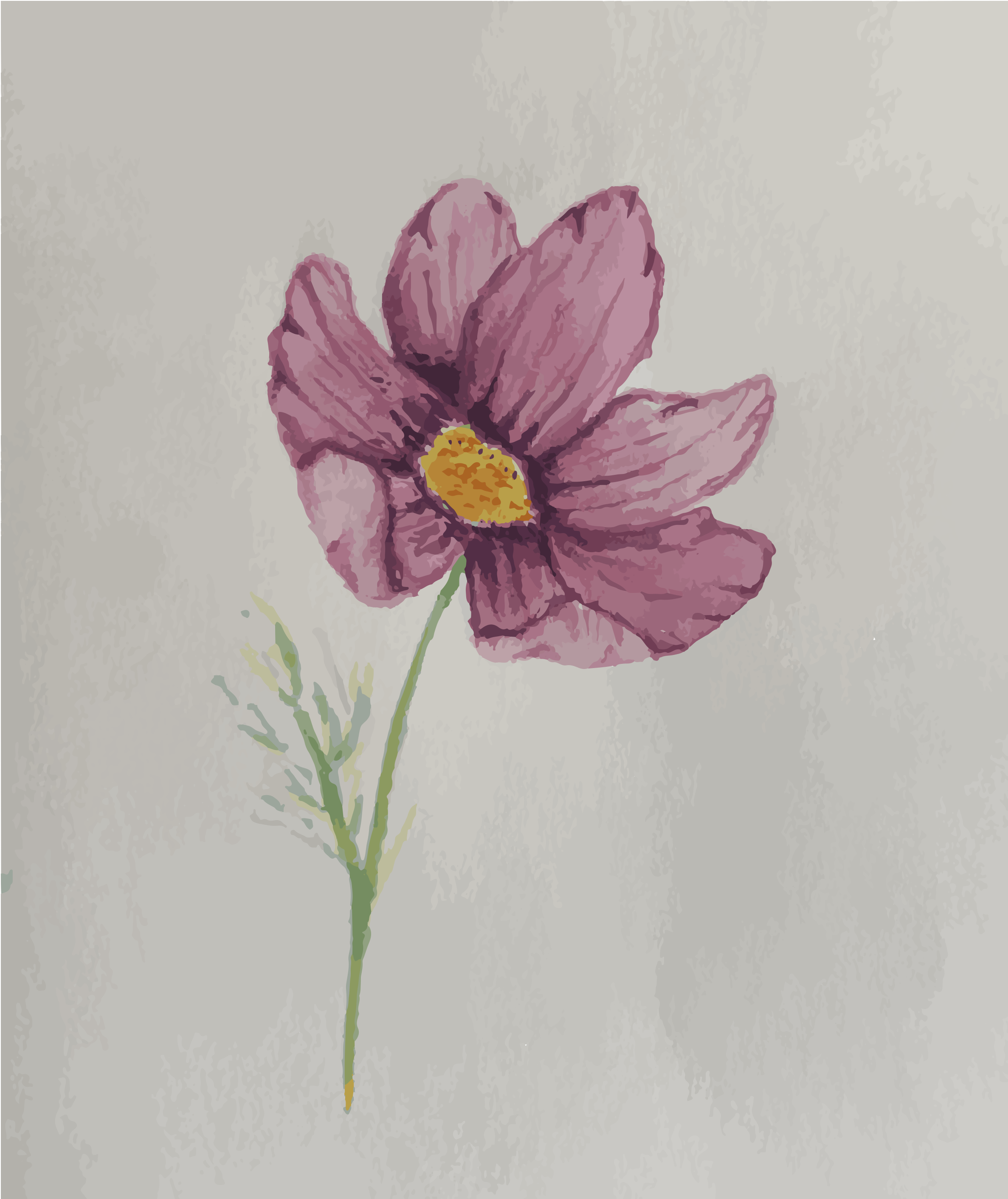 Purple cosmos flower illustration - Free Vector Illustration on Unsplash