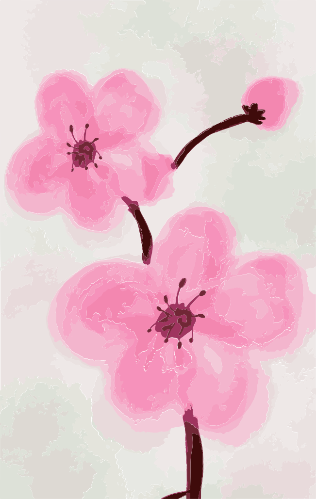 Pink cherry blossoms on branch - Free Vector Illustration on Unsplash